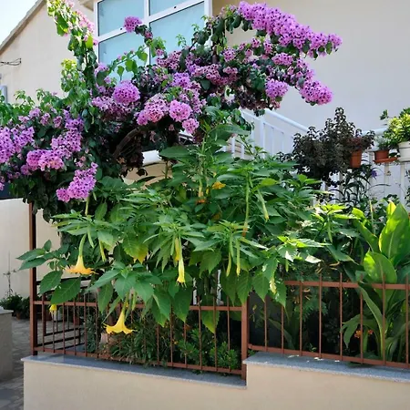 Apartman Borna * Trogir